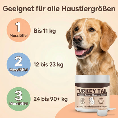 Turkey Tail Probiotic™