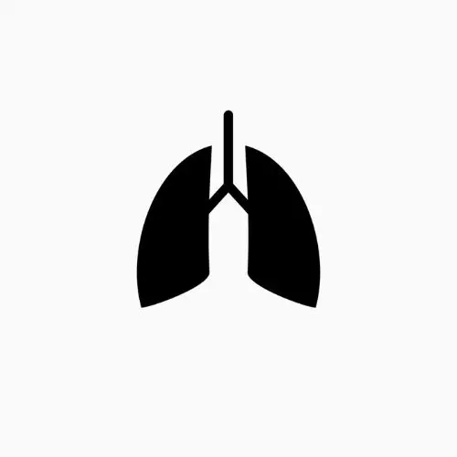 Reduziert Schadstoffe und Gerüche