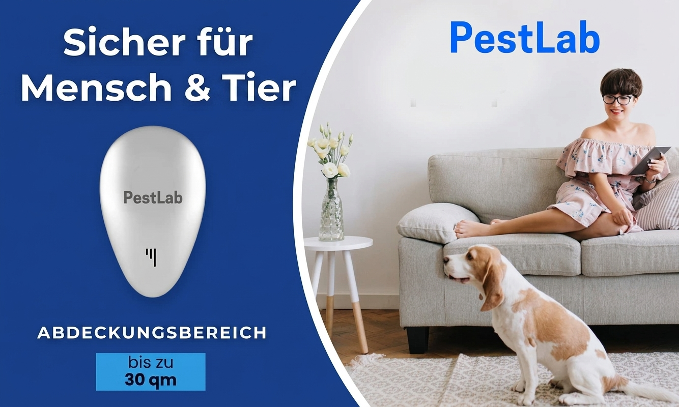 Ungeziefer Pro Reiniger