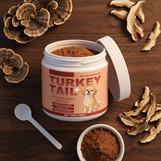 Turkey Tail Probiotic™ Plus