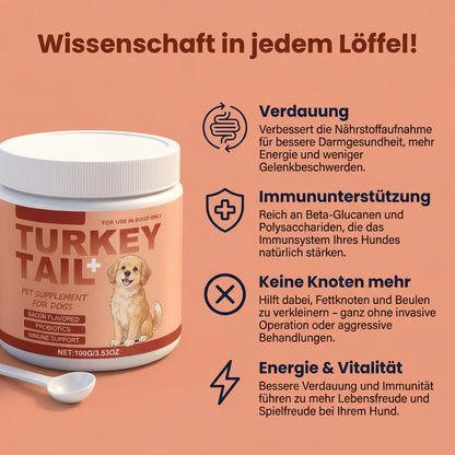 Turkey Tail Probiotic™ Plus